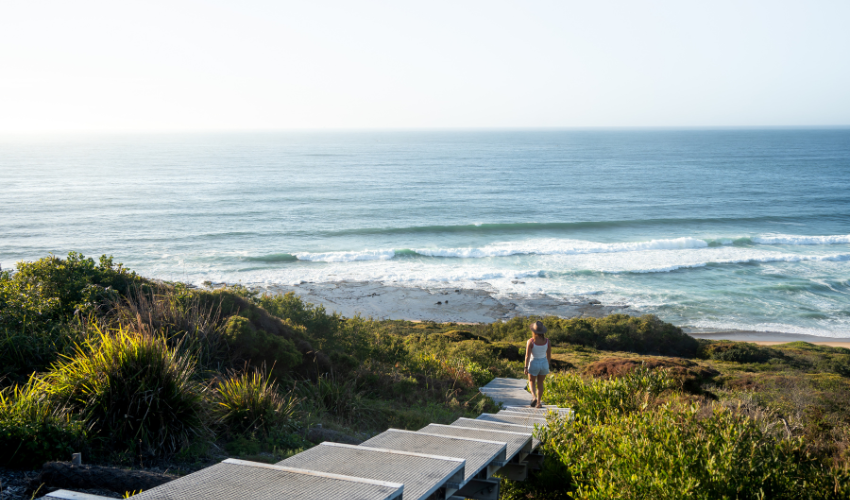 Hickson Street Lookout steps