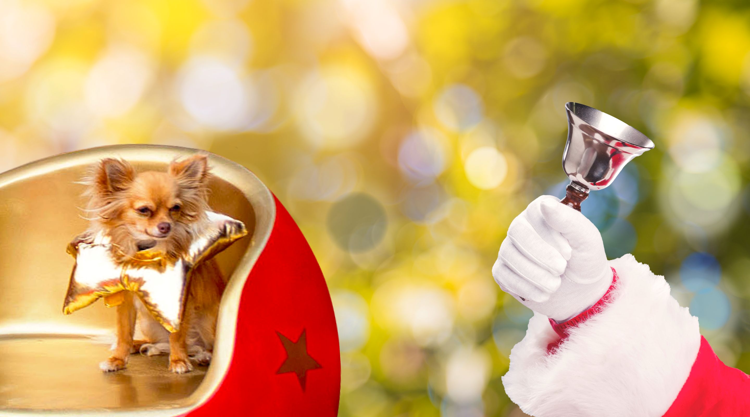 Christmas in Newcastle