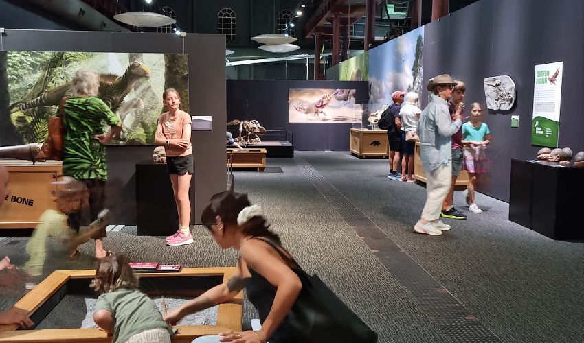 A dinosaur exhibition inside Newcastle Museum showing wide walkways, interactive displays and exhibits positioned at a range of viewing heights.