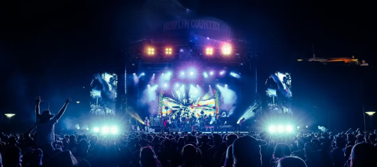 Festival snapshot: Newcastle's epic line-up