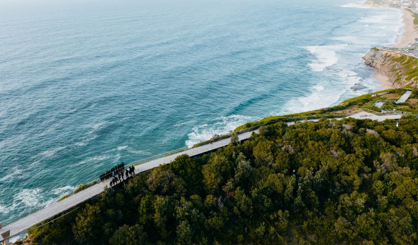 Aerial Views of Bathers Way