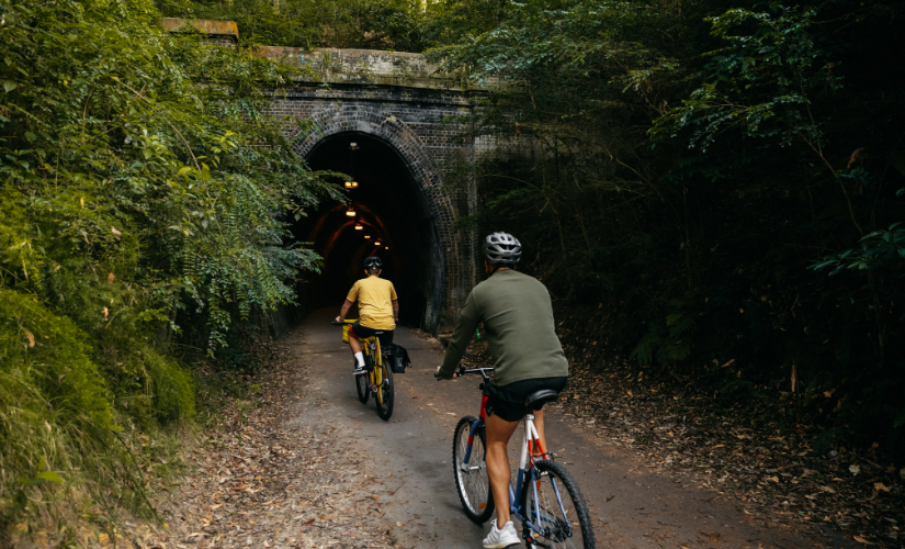 Fernleigh tunnel, Newcastle