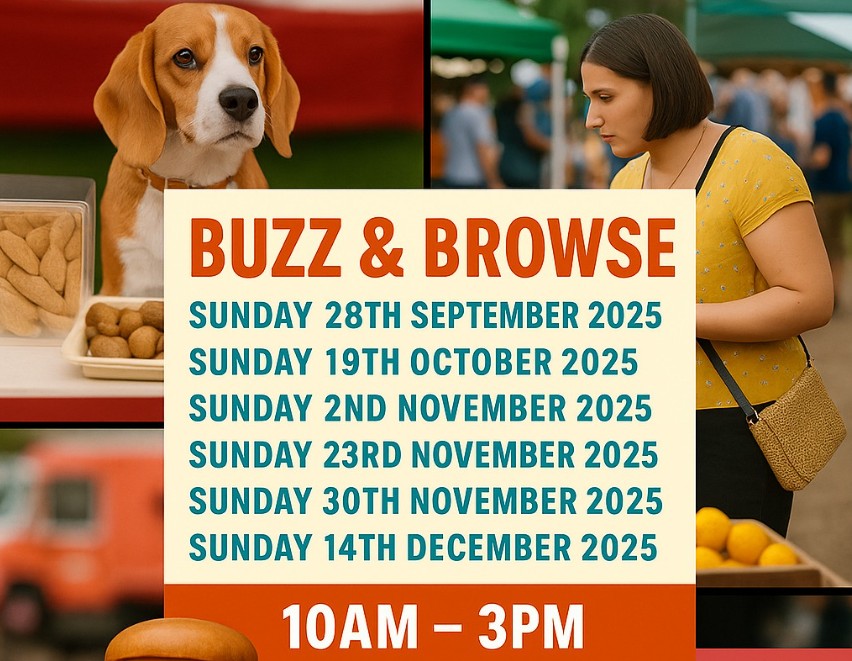 Buzz & Browse Markets