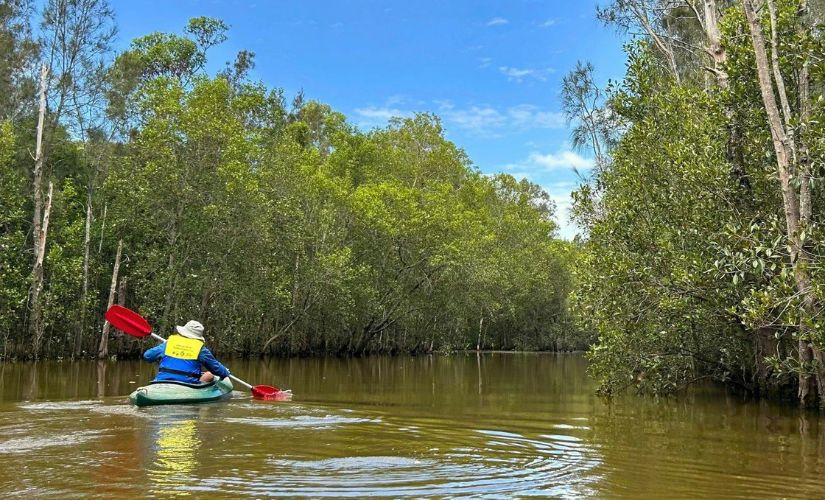 Hunter Wetlands Canoe Tour