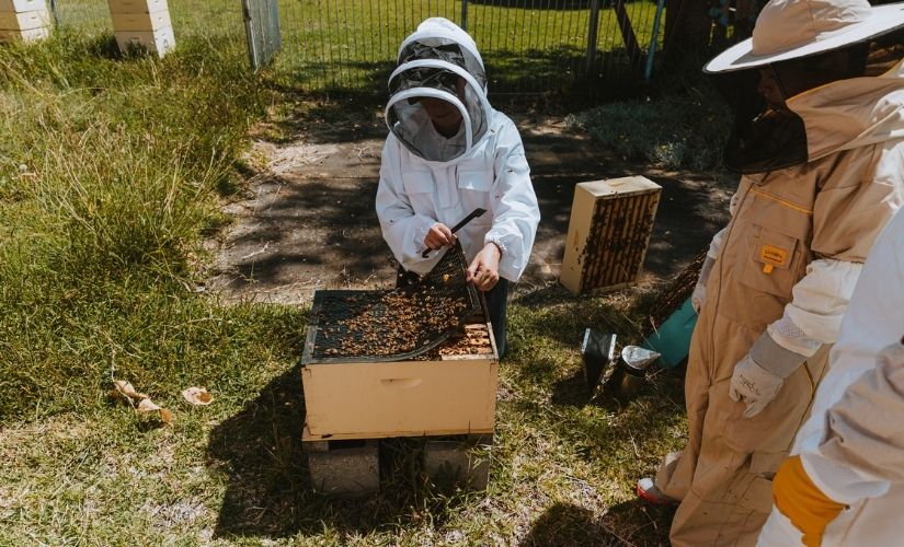 Urban Hum beekeeping workshop