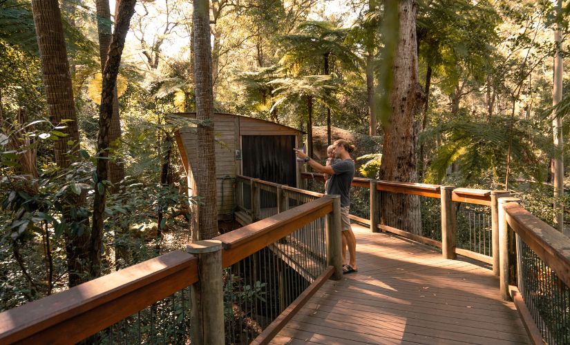 Blackbutt Reserve