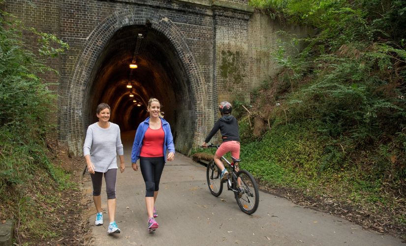 Fernleigh Track